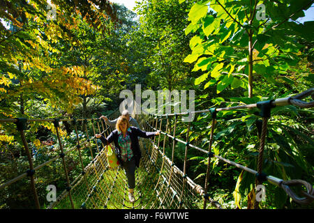 Un ponte di corde attraverso un orrido di Lost Gardens of Heligan in Cornwall, Regno Unito Foto Stock