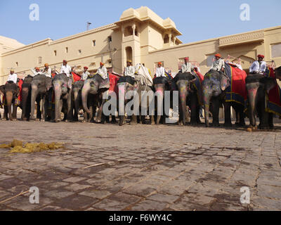 Line-up di elefanti ed i loro mahouts. Il Forte Amer/ Amber Fort Jaipur Foto Stock