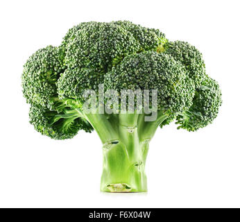 Broccoli freschi isolato su uno sfondo bianco. Foto Stock