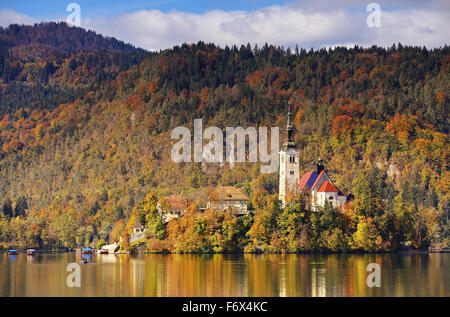 Caduta soleggiata giornata sul lago di Bled in Slovenia con Maria la Chiesa. Foto Stock