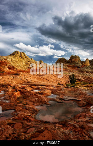 I temporali passano sopra i colori multipli di formazioni di arenaria a tasca bianco in Arizona remote Vermillion Cliffs area. Foto Stock