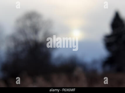 Sfondo sfocato con l'autunno il tramonto in toni freddi. Foto Stock