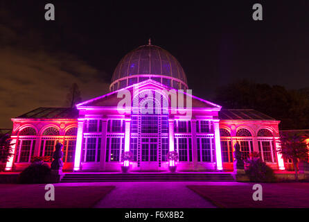 Brentford, Londra, Regno Unito. Xx Nov, 2015. La parte anteriore del grande conservatorio è illuminato. Il bosco incantato torna a Syon Park e Casa di Brentford il 20 novembre per il suo decimo anno. Un sentiero illuminato porta i visitatori attraverso il Parco e dintorni Capability Brown del fiume a serpentina, che termina in corrispondenza del XVI secolo Syon House e grande veranda con effetti di luce, illumina gli alberi e le cifre e un laser show. Credito: Imageplotter/Alamy Live News Foto Stock