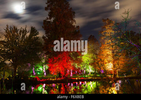 Brentford, Londra, Regno Unito. Xx Nov, 2015. Il bosco incantato torna a Syon Park e Casa di Brentford il 20 novembre per il suo decimo anno. Un sentiero illuminato porta i visitatori attraverso il Parco e dintorni Capability Brown del fiume a serpentina, che termina in corrispondenza del XVI secolo Syon House e grande veranda con effetti di luce, illumina gli alberi e le cifre e un laser show. Credito: Imageplotter/Alamy Live News Foto Stock