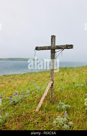 Un weathered croce di legno si erge tra di lupino sulla tundra sulla costa del mare di Bering, Isola di San Paolo, Southwestern Alaska, Stati Uniti d'america, estate Foto Stock