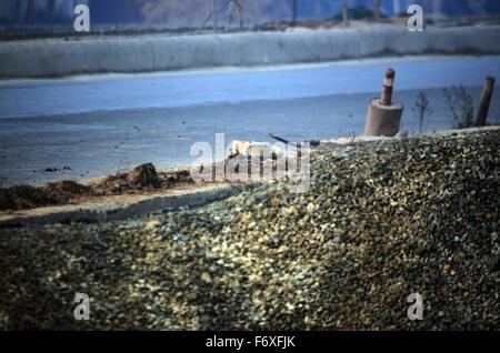 Srinagar, India. Xxi Nov, 2015. Improvvisare un dispositivo elettronico (IED) è visto sul marciapiede che è stato recuperato in Narbal alla periferia di Srinagar la capitale estiva della controllata indiana del Kashmir. India esercito e gruppi paramilitari di troopers ha affermato di aver recuperato un IED vicino alla strada Srinagar-Baramulla. Le agenzie di sicurezza diffuso poi il dispositivo in un vicino campo di risone e ha detto che il dispositivo è stato piantato a forze di bersaglio nella zona. Credito: Faisal Khan/Pacific Press/Alamy Live News Foto Stock