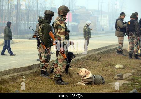 Srinagar, India. Xxi Nov, 2015. Un esercito indiano soldier lungo con sniffer cane si prepara a diffondere la improvvisare Dispositivo elettronico (IED) di Narbal alla periferia di Srinagar la capitale estiva della controllata indiana Kashmir.India esercito e gruppi paramilitari di troopers ha affermato di aver recuperato un IED vicino alla strada Srinagar-Baramulla. Le agenzie di sicurezza diffuso poi il dispositivo in un vicino campo di risone e ha detto che il dispositivo è stato piantato a forze di bersaglio nella zona. Credito: Faisal Khan/Pacific Press/Alamy Live News Foto Stock