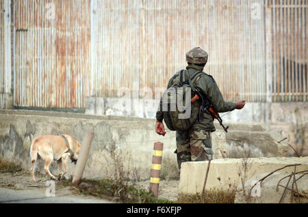 Srinagar, India. Xxi Nov, 2015. Un esercito indiano soldier lungo con uno sniffer cane cerca la zona dove un improvvisare Dispositivo elettronico (IED) è stata trovata in Narbal alla periferia di Srinagar la capitale estiva della controllata indiana del Kashmir. India esercito e gruppi paramilitari di troopers ha affermato di aver recuperato un IED vicino alla strada Srinagar-Baramulla. Le agenzie di sicurezza diffuso poi il dispositivo in un vicino campo di risone e ha detto che il dispositivo è stato piantato a forze di bersaglio nella zona. Credito: Faisal Khan/Pacific Press/Alamy Live News Foto Stock