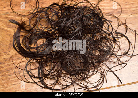 Ritagli di capelli su un pavimento parrucchieri. Un taglio womans marrone capelli sul pavimento di un salone di parrucchiere. Foto Stock