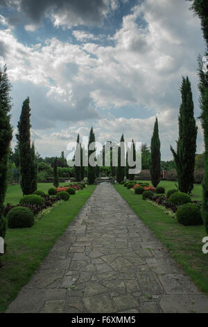 Vista Diritta, sentiero lastricato incorniciato da strette alberi dritti, Inghilterra Foto Stock