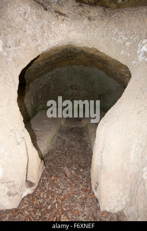 Tombe in Umbria - Necropoli Etrusca del Vallone di San Lorenzo, Montecchio, Terni, Perugia, Italia Foto Stock