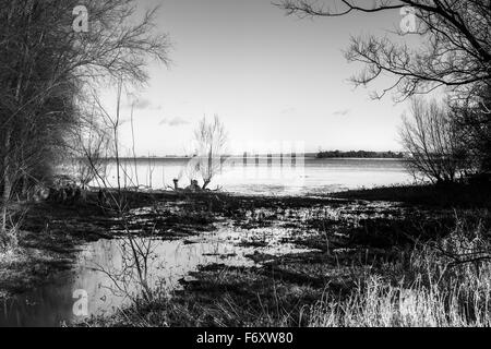 Immagine di panorama mostra oriente hanningfield serbatoio in Essex, Inghilterra Foto Stock