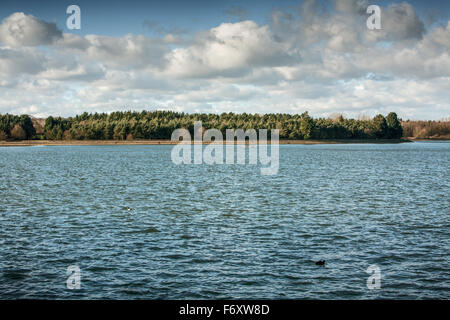 Immagine di panorama mostra oriente hanningfield serbatoio in Essex, Inghilterra Foto Stock