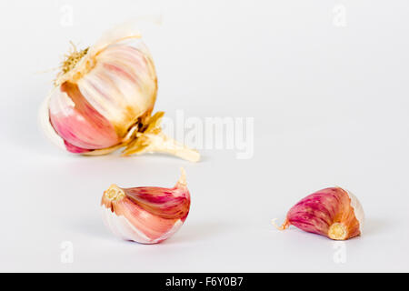 Bulbo aglio e chiodi di garofano su sfondo bianco Foto Stock