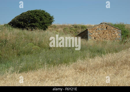 Costruita in pietra casa resemblin con scenario locale e vegetazione in estate Katalako village, area Gomari, Lemnos Island, Grecia Foto Stock