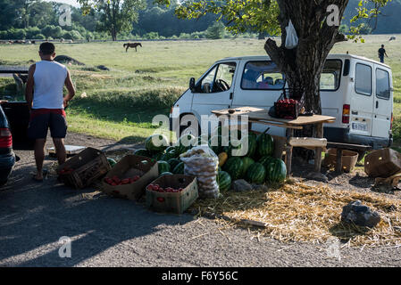 Lato strada-frutta stand con i cocomeri e verdure in Georgia Foto Stock