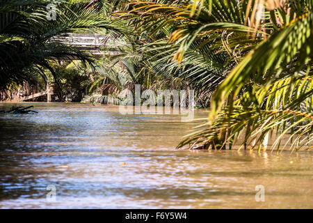 Nella giungla del Fiume Mekong Delta Foto Stock