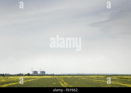 Immagine del paesaggio di campagna con bradwell stazione di potenza a distanza Foto Stock