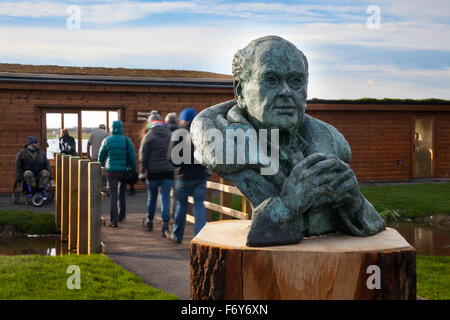 Birders in Wigan Greater Manchester, Lancashire, Regno Unito. Xxi Nov, 2015. Nuova scoperta Hide & Walter Scott scultura si apre a Martin mera Bird Festival. La presente Hooper Swan conte sorge a circa 750 uccelli, si prevede che questa improvvisa ondata di freddo potrebbe cambiare tutto questo abbastanza rapidamente fino a 2000 plus uccelli sono attesi con i venti del nord. Foto Stock