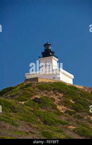 Iles Sanguinaires faro Foto Stock