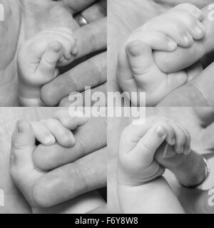 Collage di baby la mano che tiene su di esso i genitori di dito Foto Stock