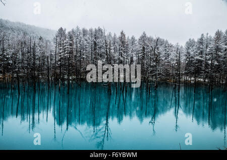 Blue Pond è un uomo fatto di acqua in funzione di Biei,, Giappone. Si tratta di uno dei più belli del mondo e di stagno offrono vista diversa per ogni stagione. Foto Stock