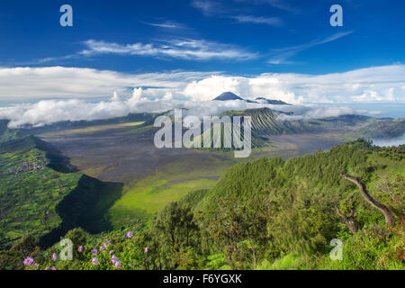 Monte Bromo e vulcani Batok panorama di Bromo Tengger Semeru National Park, Java Orientale, Indonesia. Foto Stock