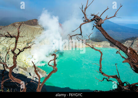 Kawah Ijen vulcano, Java, Indonesia Foto Stock