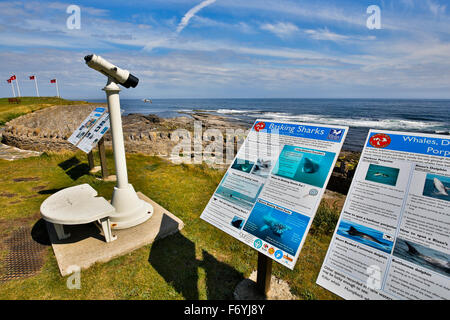 Port St Mary; Informazioni marino schede; Isola di Man; Regno Unito Foto Stock