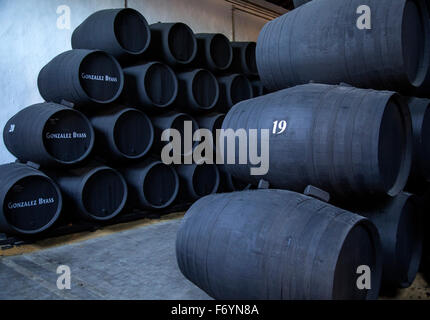 Botti di rovere per la maturazione del vino di Xeres cantina, Gonzalez Byass bodega, Jerez de la Frontera, la provincia di Cadiz Cadice, Spagna Foto Stock