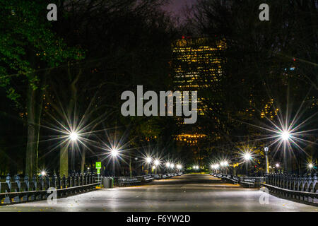 Il centro commerciale situato nel cuore del Central Park contiene le più grandi collezioni di American Olmi Foto Stock