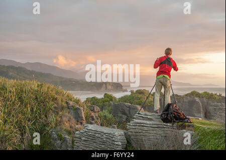 Pancake rocks in Punakaiki, Isola del Sud, Nuova Zelanda Foto Stock