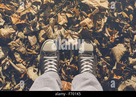 Uomo in piedi in foglie di autunno, sneakers dal di sopra sul suolo coperto di asciugare shedded maple leaf heap, dai toni rétro Foto Stock