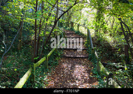 Camley Street Parco naturale in King Cross a Londra, Inghilterra Foto Stock
