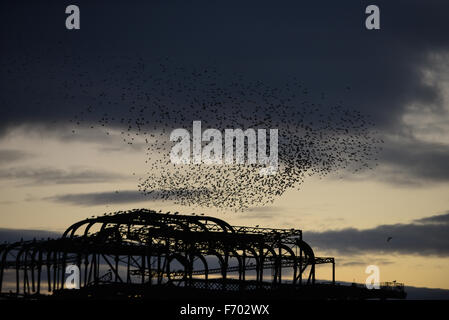 Durante il tramonto storni eseguire un murmuration nel cielo al di sopra dei derelitti Molo Ovest di Brighton, East Sussex, Inghilterra. Foto Stock