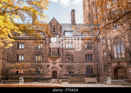 Vista di Bingham Hall sul vecchio campus all Università di Yale in una giornata autunnale. Foto Stock