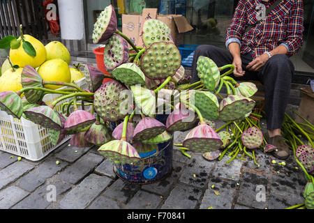 I semi di loto di essere venduto in una fase di stallo in Jinhua, Cina Foto Stock