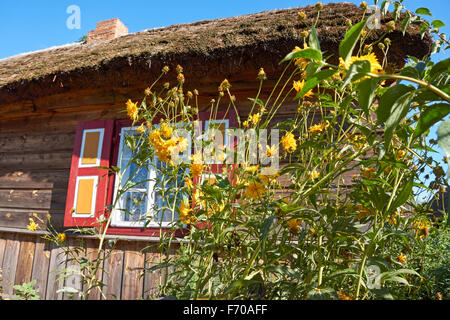 Il Museo della Campagna Mazovian in Sierpc, Polonia. Il vecchio contadino in legno con tetto di paglia di casale con persiane decorativa. Foto Stock