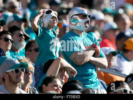 Giardini di Miami, Florida, Stati Uniti d'America. 22 Novembre, 2015. I delfini ventole a Sun Life Stadium di Miami, in Florida, il 22 novembre 2015. Credito: Allen Eyestone/Palm Beach post/ZUMA filo/Alamy Live News Foto Stock