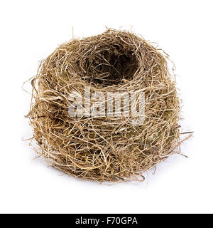 Vuoto originale Bird's Nest close-up isolato su uno sfondo bianco. Foto Stock