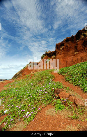 Montagna, sindhudurg, Maharashtra, India, Asia Foto Stock