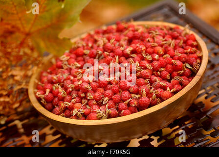 Essiccata la rosa selvatica hips in un artigiano ciotola di legno in autunno Foto Stock