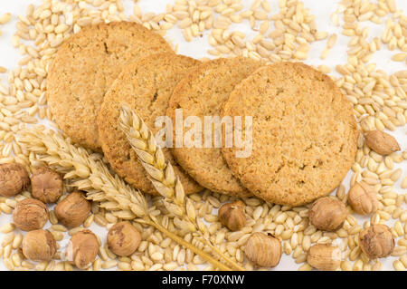 Quattro biscotti integrali con le nocciole e la pianta di grano su sfondo bianco Foto Stock