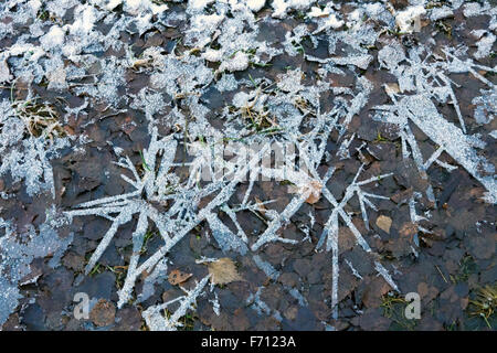 Massa congelata, Finlandia Foto Stock