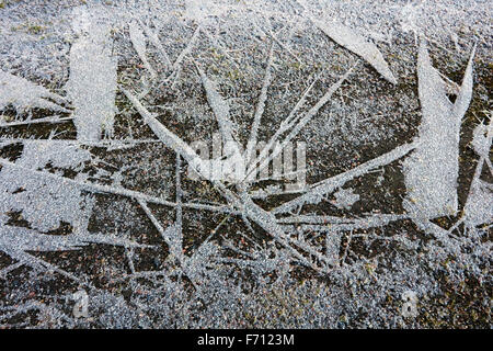 Massa congelata, Finlandia Foto Stock