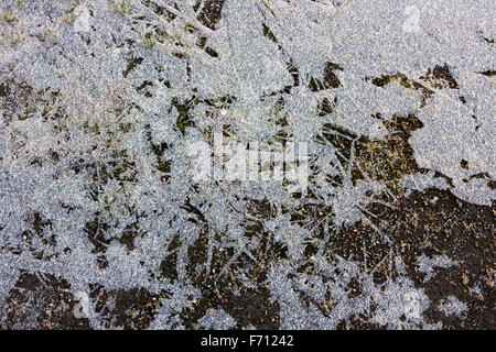 Massa congelata, Finlandia Foto Stock