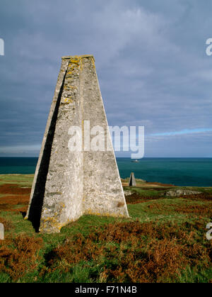 Il bianco onorevoli ovest mare Mouse marchi, Carmelo Testa, Anglesey, Galles del Nord, Regno Unito Foto Stock