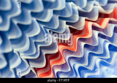 Torta di carta casi Foto Stock