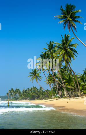 Spiaggia tropicale in Sri Lanka Foto Stock