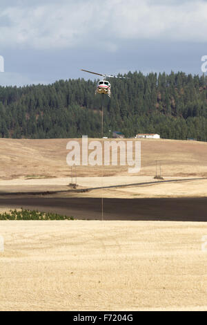 Idraulico, Idaho - 20 settembre: Fire Fighting elicottero caring acqua da un vicino campo per mettere fuori un wildfire nella foresta, se Foto Stock